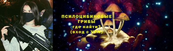 mdpv Новозыбков