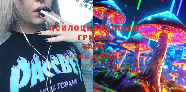 mdpv Новозыбков