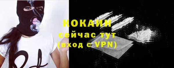 крисы Ветлуга