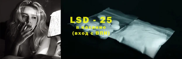 a pvp Новодвинск