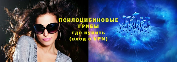 a pvp Новодвинск