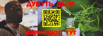 spice Дубна