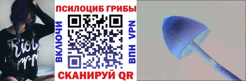 что такое наркотик  Зеленокумск  Галлюциногенные грибы Psilocybe 