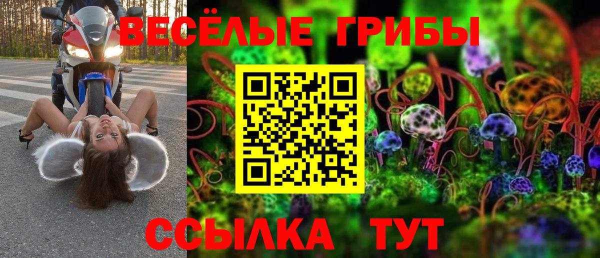 Галлюциногенные грибы ЛСД  Вход с VPN  где продают   Зеленокумск 