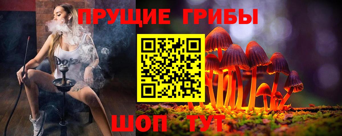 Псилоцибиновые грибы Psilocybine cubensis Зеленокумск